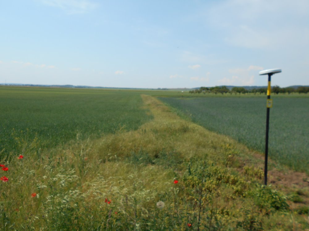 Zemědělský pozemek Spomyšl